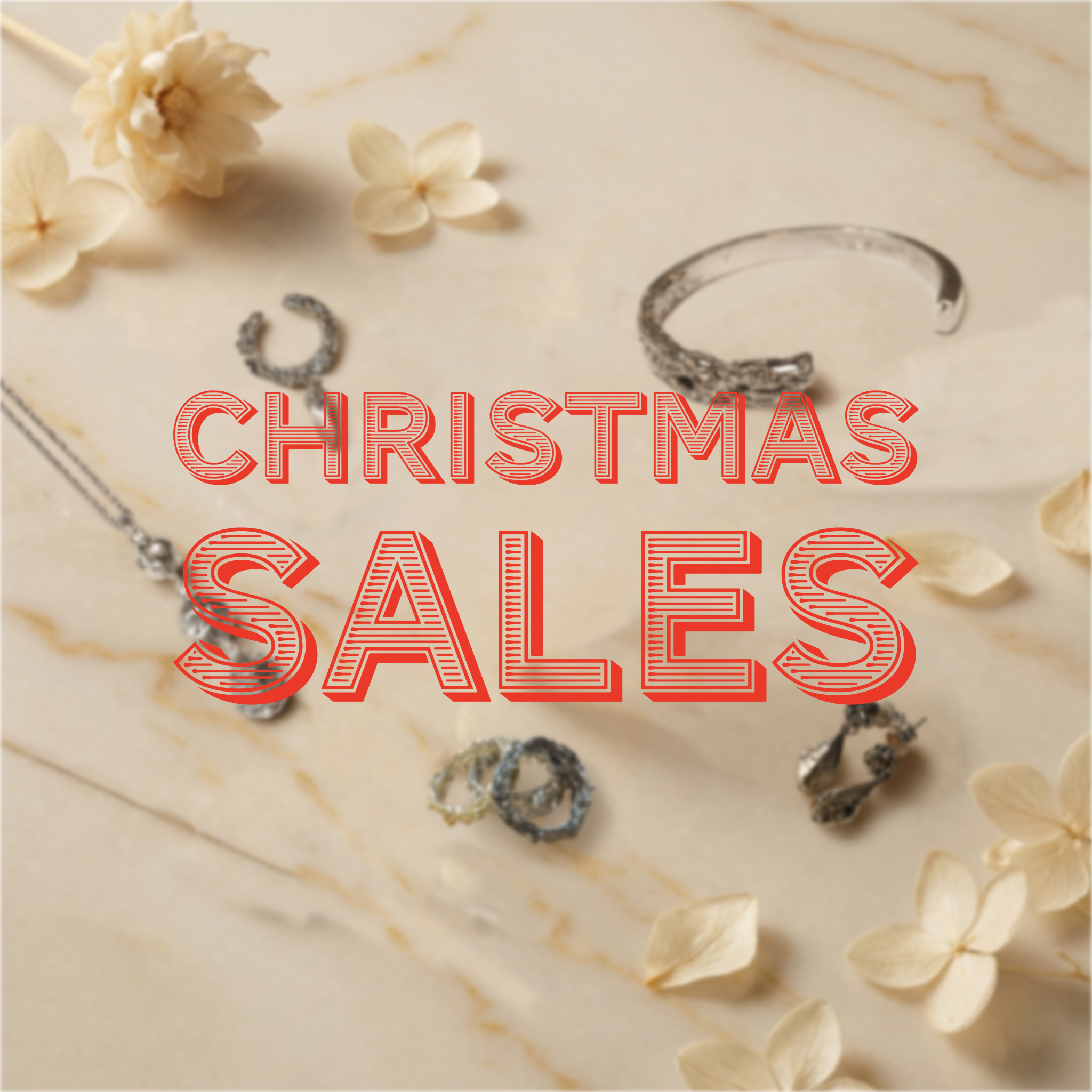 Christmas Sales 50% OFF