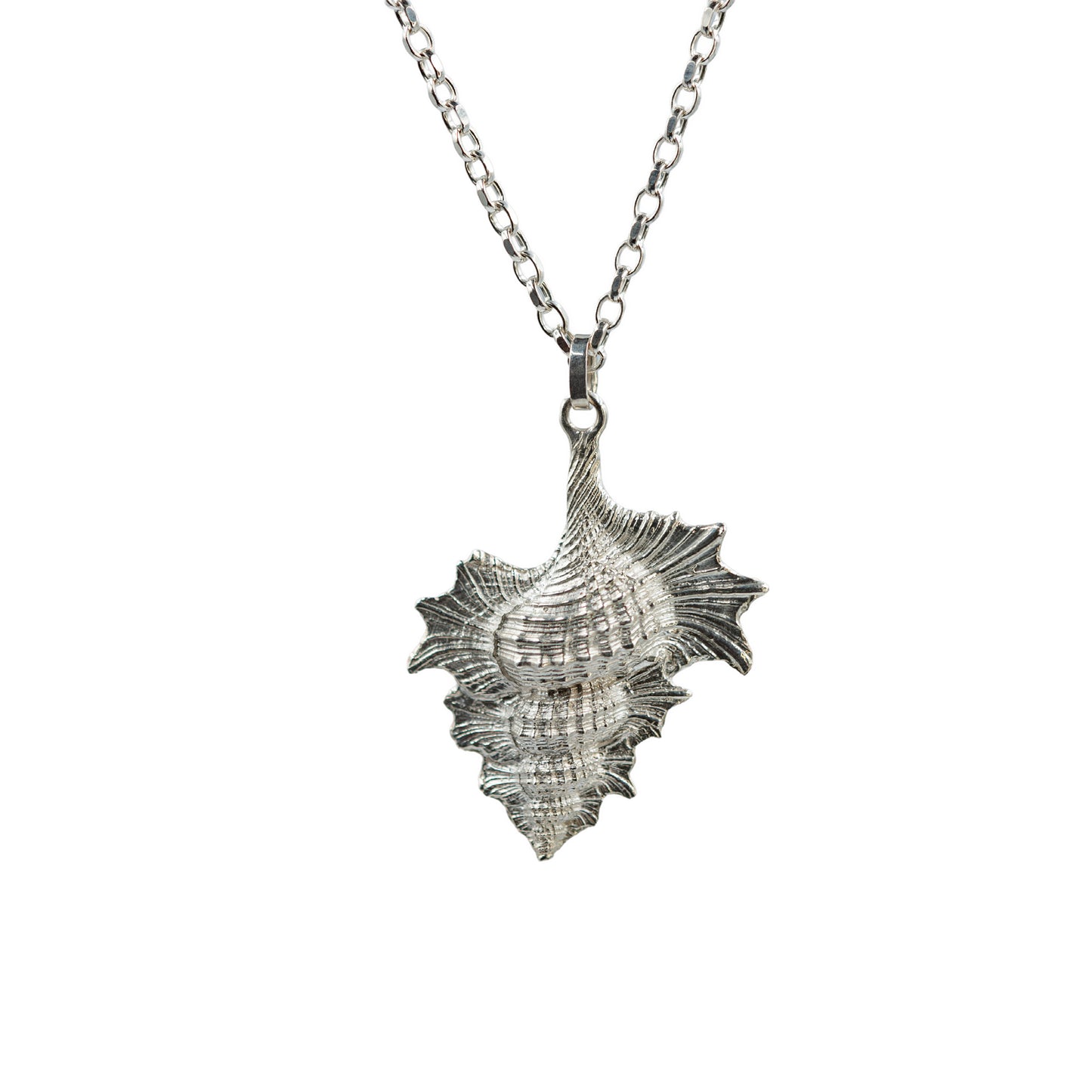 Sculpted Argentium Silver Conch Pendant